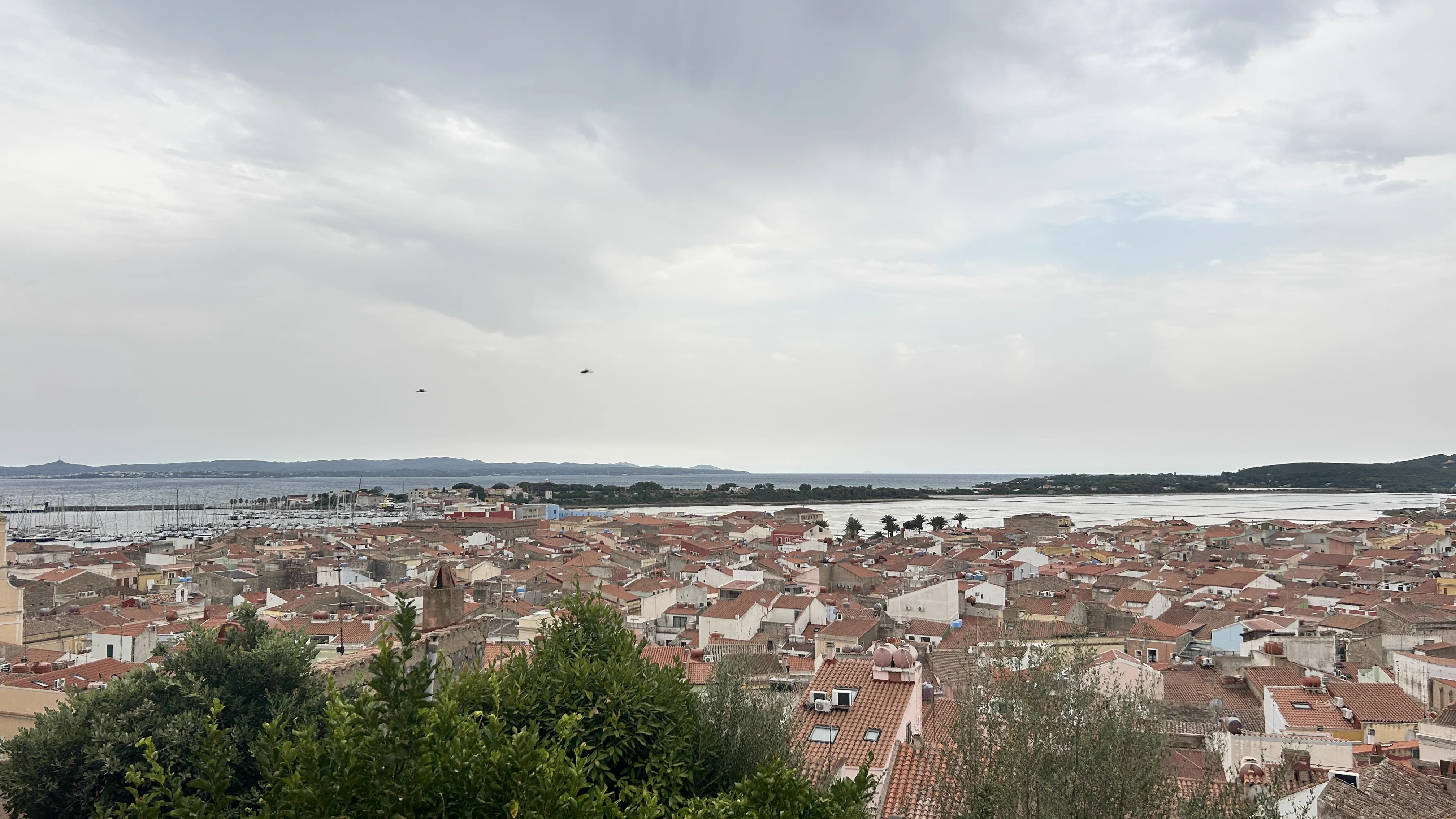 Blick über die Dächer von Carloforte bis zur Salzlagune
