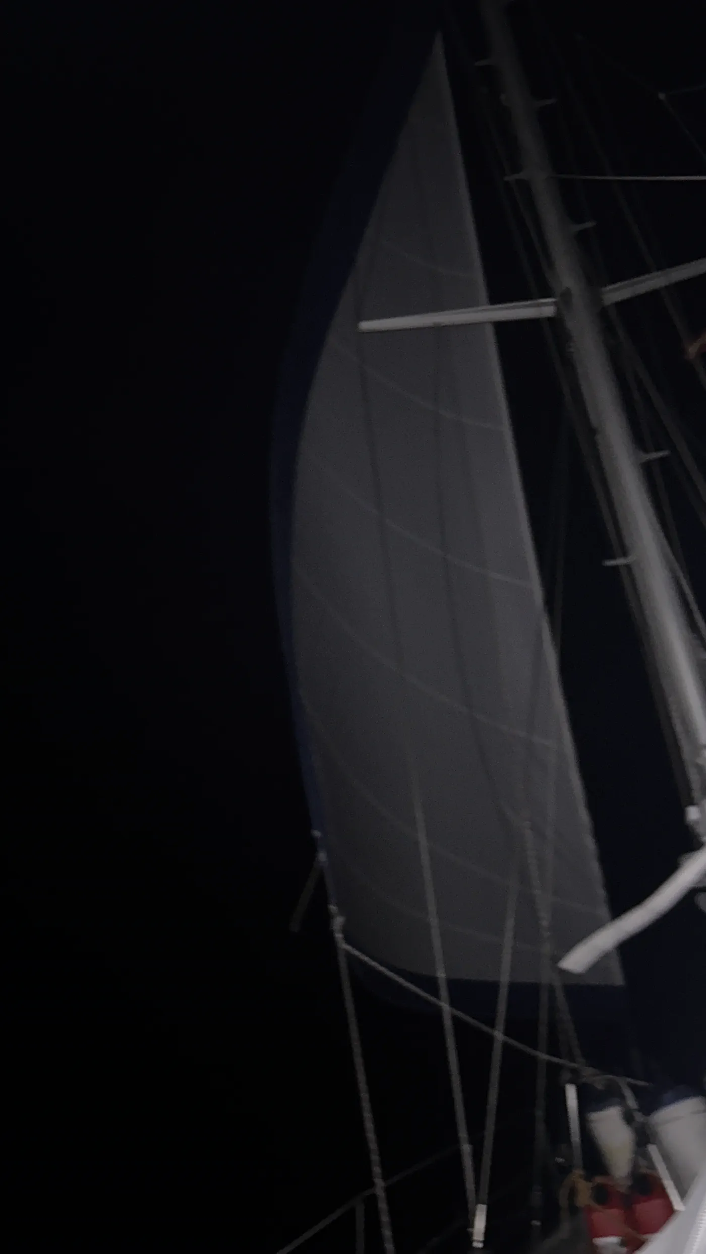 Segel in der Nacht