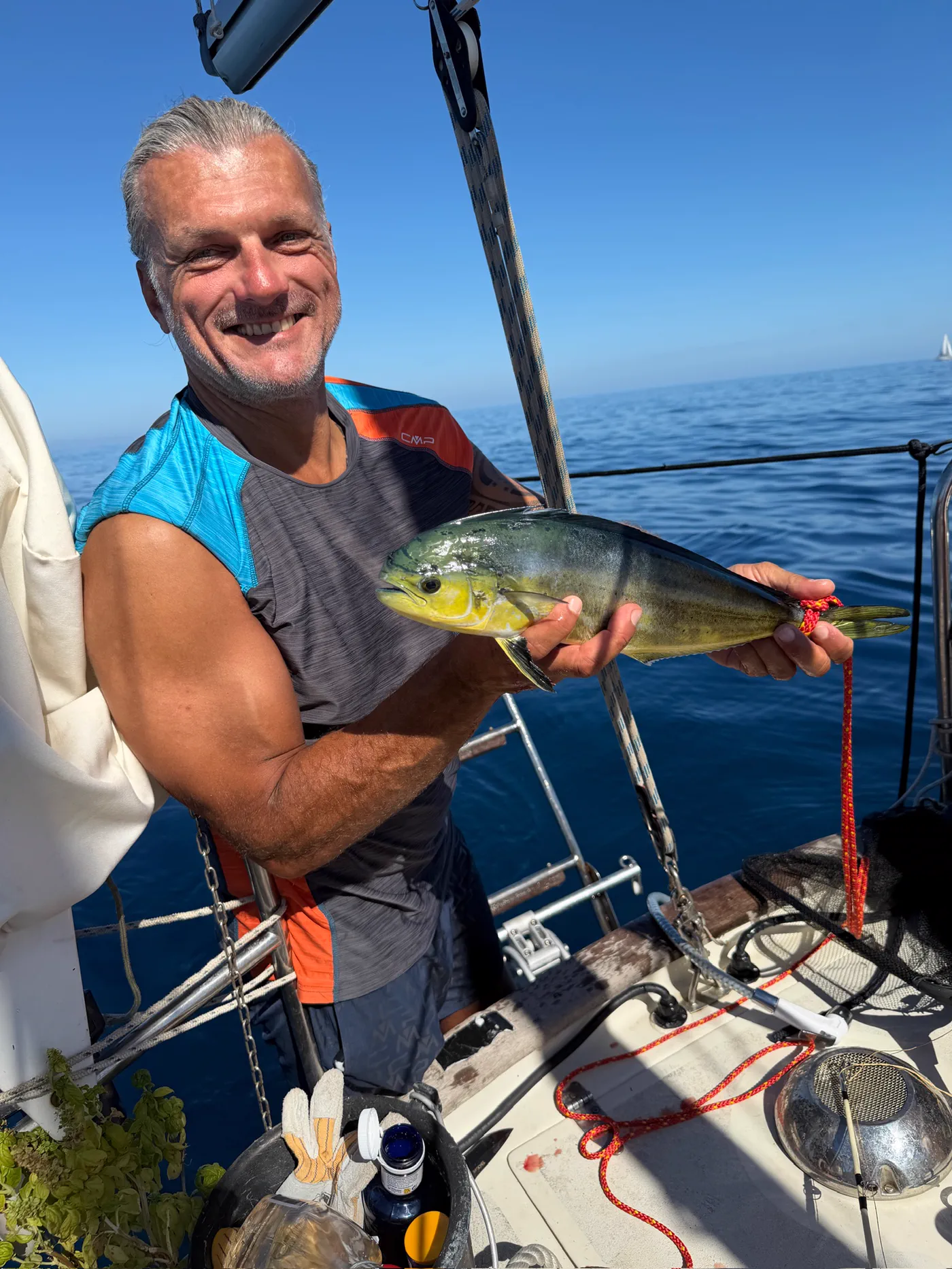 Peter mit der Goldmakrele