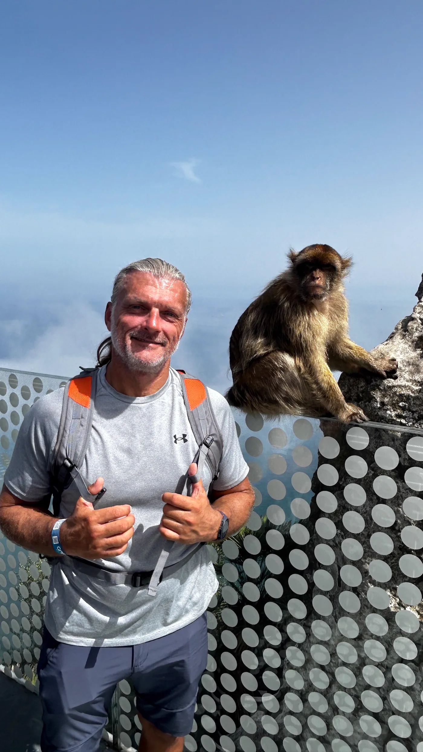 Peter mit einem Affen als Sitznachbarn