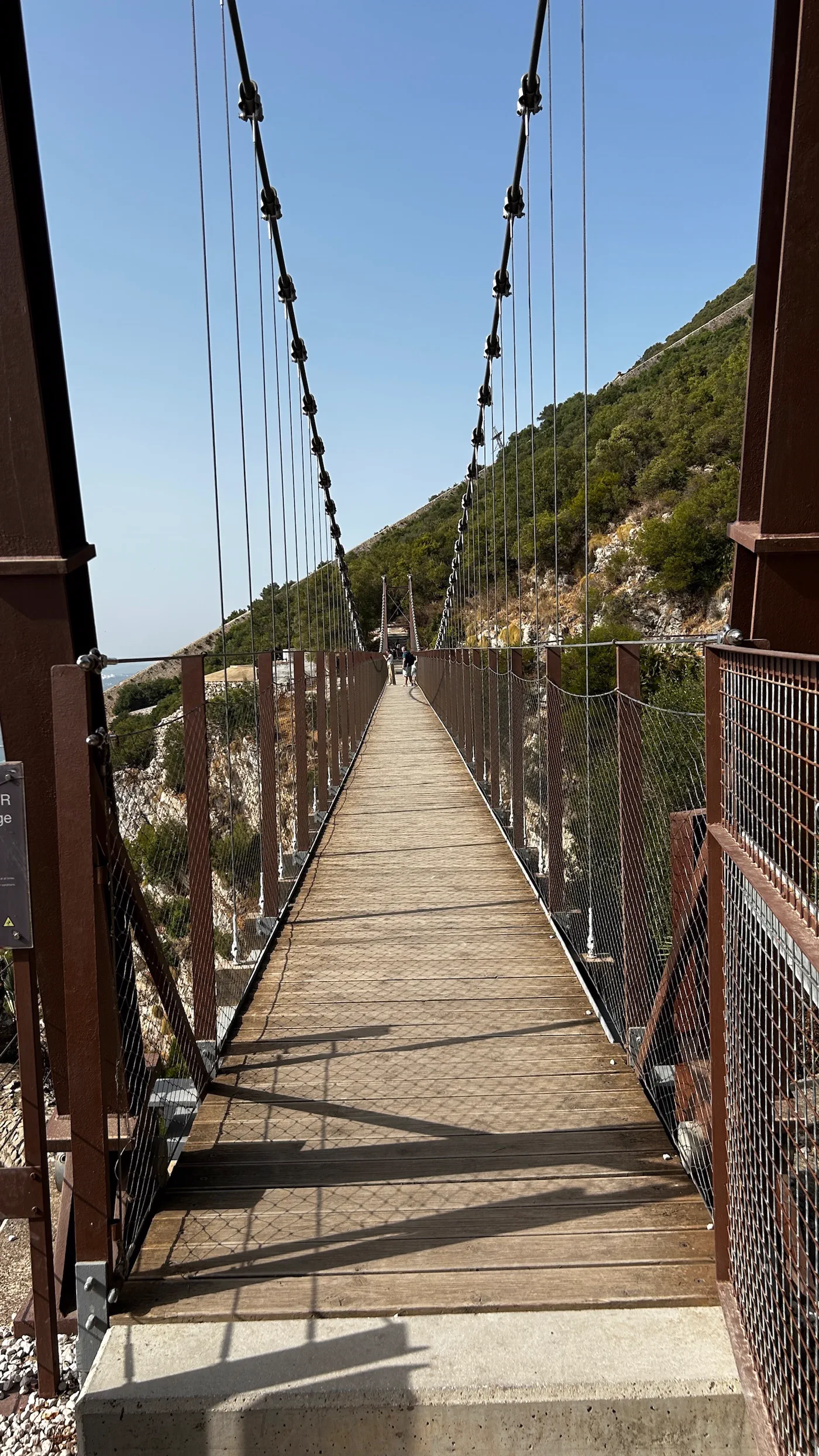 Die Hängebrücke im Naturreservat